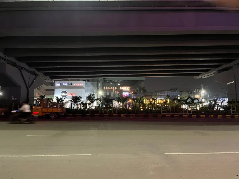 【南インド】インドの洗礼 - 後編